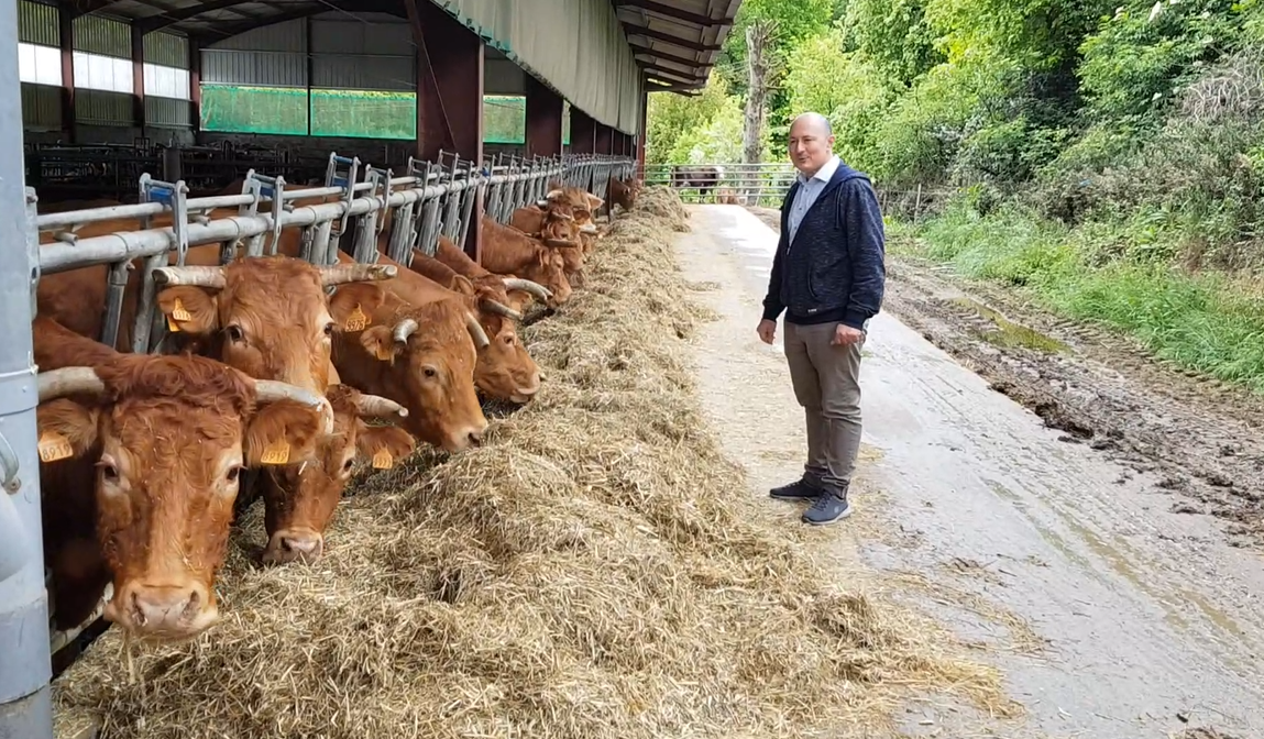 Vacances à la ferme : séjour authentique et paysan pour toute la famille