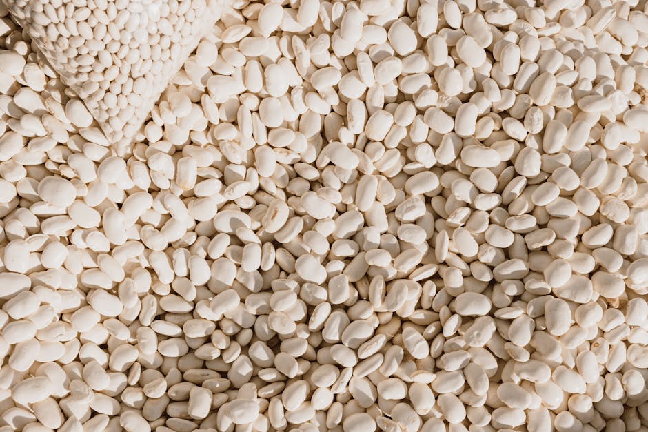 High-angle view of scattered white beans, ideal for cooking and healthy eating.